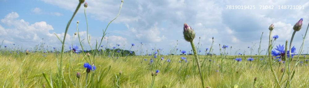 Naturschule Oberlausitz